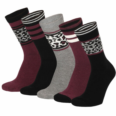 Apollo Fashion Zwart/Aubergine 5-Pack