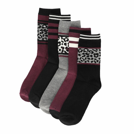 Apollo Fashion Zwart/Aubergine 5-Pack